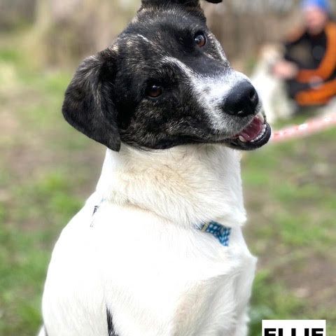 Ellie se trouve dans un  refuge en ukraine