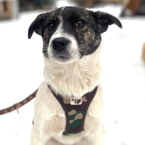 Ellie se trouve dans un  refuge en ukraine #0