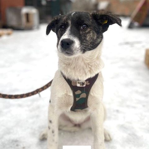 Ellie se trouve dans un  refuge en ukraine #3