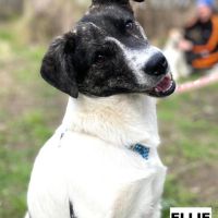 Ellie se trouve dans un  refuge en ukraine