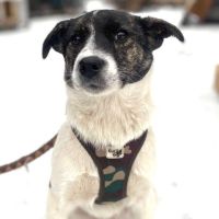 Ellie se trouve dans un  refuge en ukraine