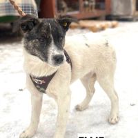 Ellie se trouve dans un  refuge en ukraine #4