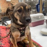 Flora se trouve dans un refuge en ukraine