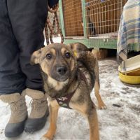 Flora se trouve dans un refuge en ukraine #3