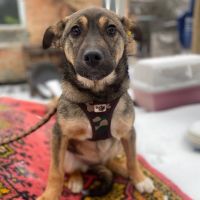 Flora se trouve dans un refuge en ukraine #4