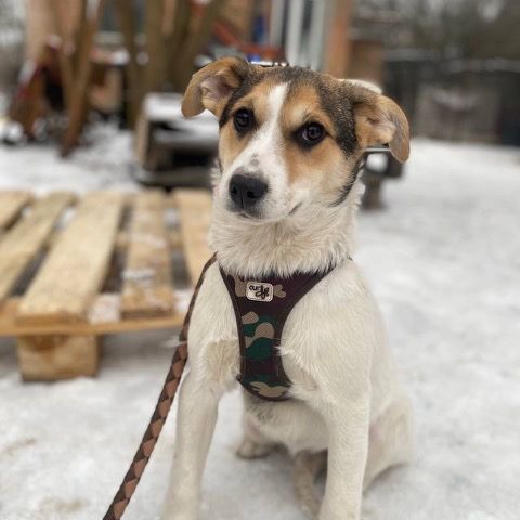 Kari se trouve dans un refuge en ukraine #2