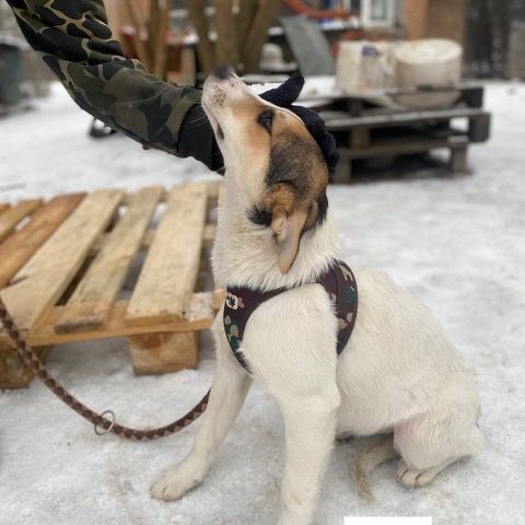 Kari se trouve dans un refuge en ukraine #4