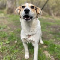 Kari se trouve dans un refuge en ukraine #1