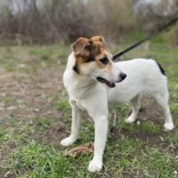 Kari se trouve dans un refuge en ukraine #2
