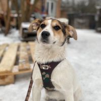 Kari se trouve dans un refuge en ukraine