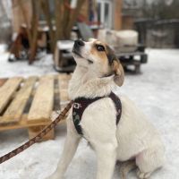 Kari se trouve dans un refuge en ukraine #3