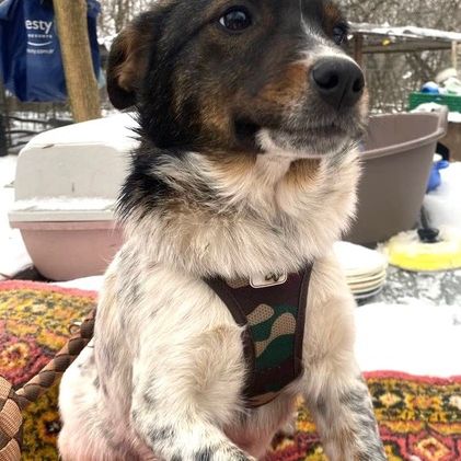 Tonya se trouve dans un refuge en ukraine #0