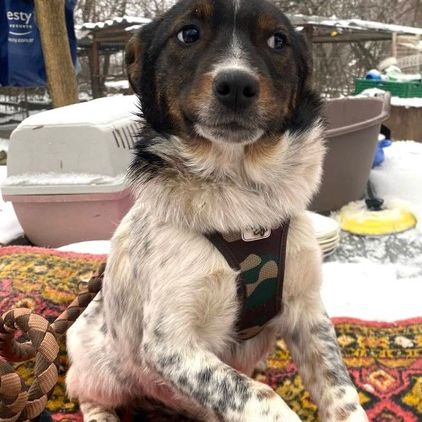 Tonya se trouve dans un refuge en ukraine #2