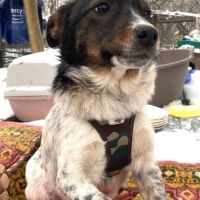 Tonya se trouve dans un refuge en ukraine