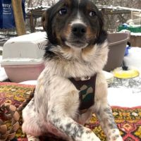 Tonya se trouve dans un refuge en ukraine #2