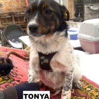 Tonya se trouve dans un refuge en ukraine #3