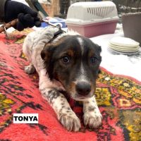 Tonya se trouve dans un refuge en ukraine #4