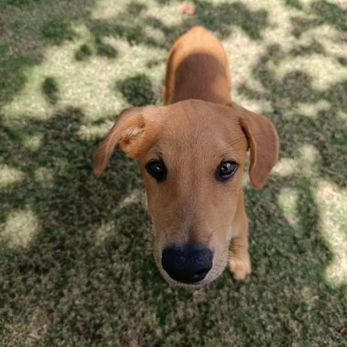 Loki, la tendresse #1