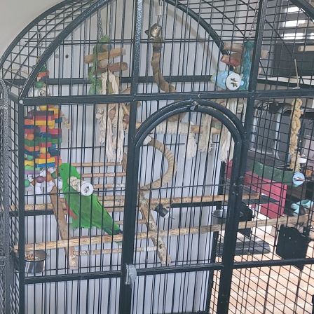 Eclectus mâle eam #0