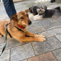 Romny se trouve en famille d'accueil sur paris #1