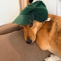 Romny se trouve en famille d'accueil sur paris #4