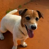 Rudy la boule d'énergie