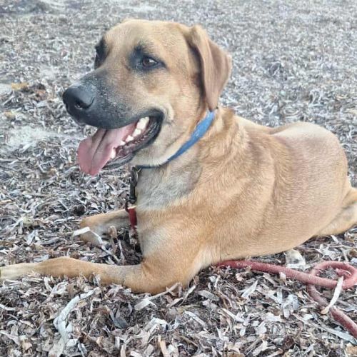 Guelia la joie de vivre #2