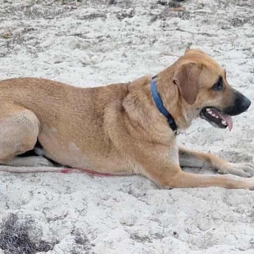 Guelia la joie de vivre #7