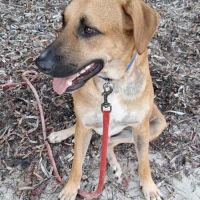 Guelia la joie de vivre