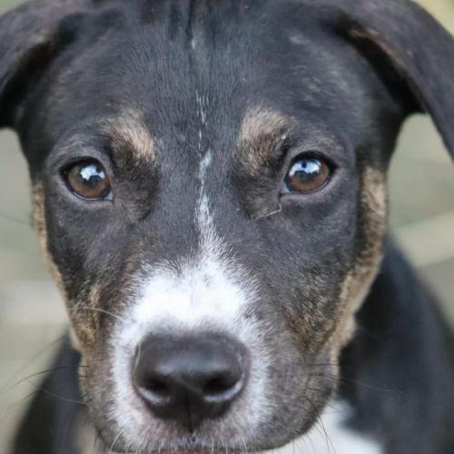 Darwin un amour de bébé #3