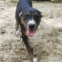 Darwin un amour de bébé #4