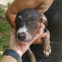 Darwin un amour de bébé #8