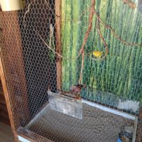 Le chant du bonheur a qui sait écouter