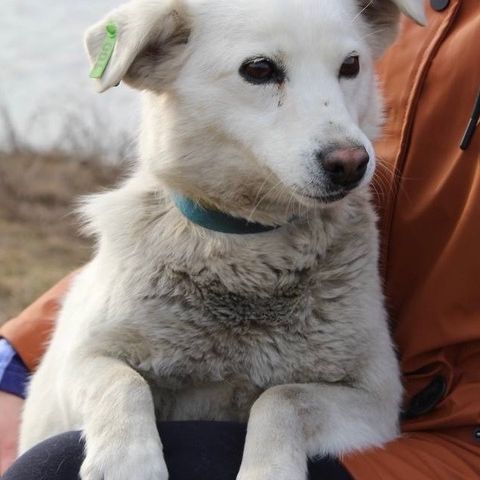 Milka se trouve dans un refuge en ukraine