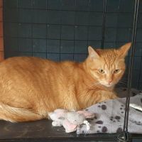 Charly le magnifique #2