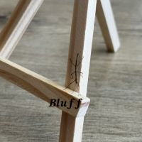 Bébés phasmes bâtons #2