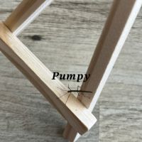 Bébés phasmes bâtons #3