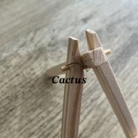 Bébés phasmes bâtons
