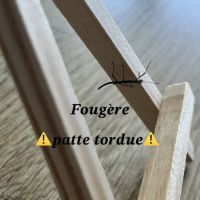Bébés phasmes bâtons #8