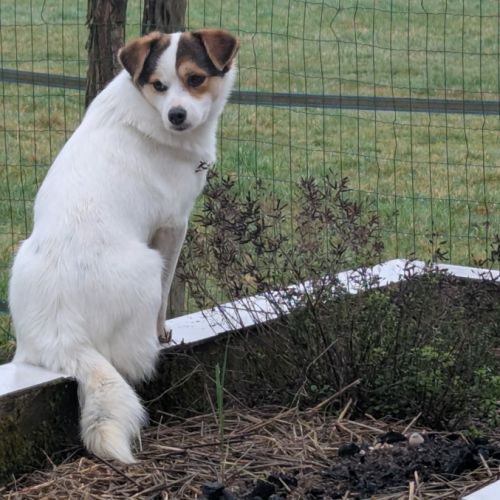 Lulu attend une famille pour la vie ! #2