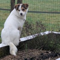 Lulu attend une famille pour la vie ! #2