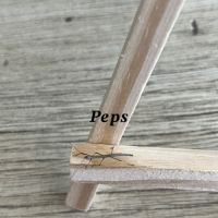 Bébés phasmes bâtons #7