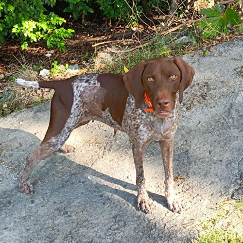 Kiara, le rayon de soleil #2