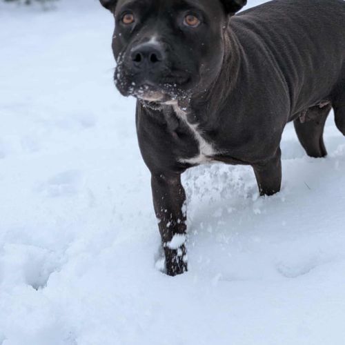 Paty se languit de trouver sa famille #5