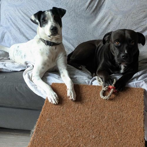 Paty se languit de trouver sa famille #7