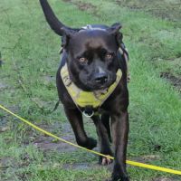 Paty se languit de trouver sa famille