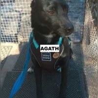 Agath se trouve dans un refuge en ukraine #2