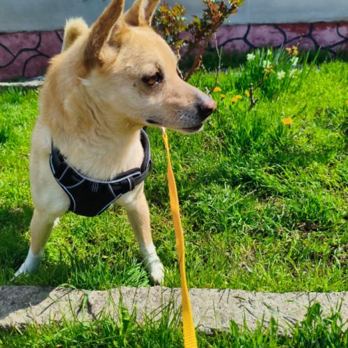 Alex se trouve dans un refuge en ukraine
