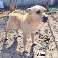 Alex se trouve dans un refuge en ukraine #1