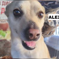 Alex se trouve dans un refuge en ukraine #0